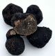 Truffe noire Melanosporum